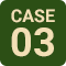 case3