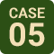 case5