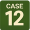 case12